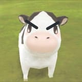 dk1cow