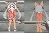 island fox s2