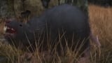 enb2025_6_11_17_01_53
