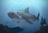 GoodShark