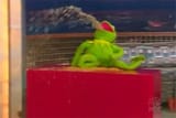kermit vomit