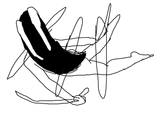 Spin