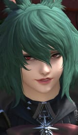 closeup