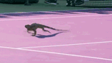 Femra zoomies mk2