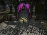 ffxiv_15062025_005519_542