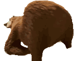 volibear twerk