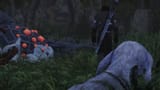 enb2025_6_14_20_12_13