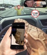 kittycat