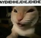1741476271704885