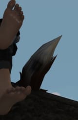 tail