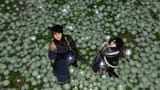 ffxiv_06112025_013054_958