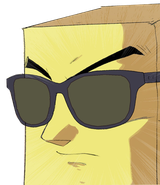 sunshades p