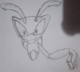 mantis