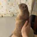 1688557323838601_thumb.jpg