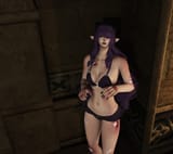 ffxiv_dx11_2Q95b16aiP