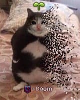 1733557318892031