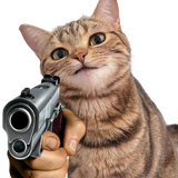 1728891931041894