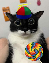 lollypopcat