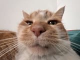 1747266021025622