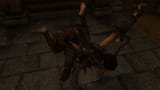 The Elder Scrolls V Skyrim Special Edition Screenshot 2021.01.01 - 14.29.53.90