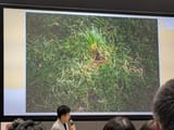 PXL_20250615_032803653