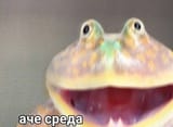 1729835532683838