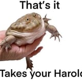 1748365873006880