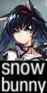 blaze snowbunny