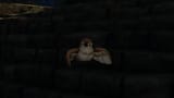 2025-06-15 11-00-50 ffxiv_dx11