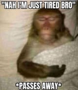 174927229887557874