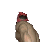 1551331632719