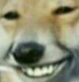 dogesmile