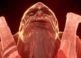 UUUHUHHHHHHHHAUHHHHHHHHHHHHHHHHHFYYUUUCKKKKKKKKScharum