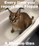 1740283731620612