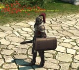 dragonfuckerrunescapemoment