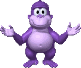 Bonzi explain