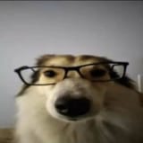 1697857488510270