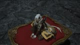 ffxiv_15062025_172806_307