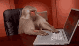 monkey-buisness