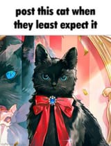 this cat