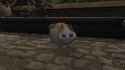 cool cat dancing_thumb.jpg