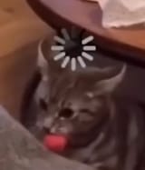 1735287326917852