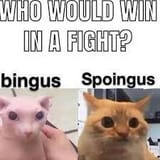 1737903995673602