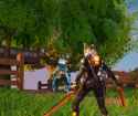 matingdance_thumb.jpg