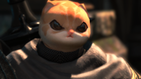 angrycat