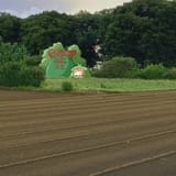 1748820557516501