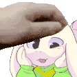 PET FASTER