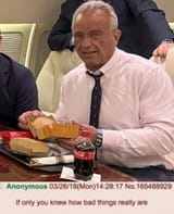 1733235027383604
