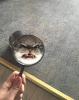 1610345605277