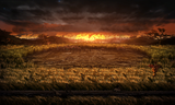 battle_dongrang_ego